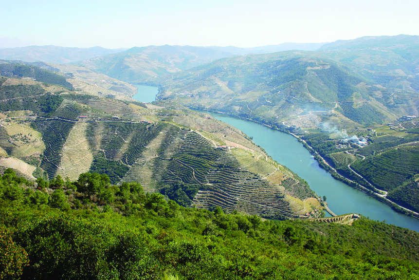 Portproeverij de rivier de Douro